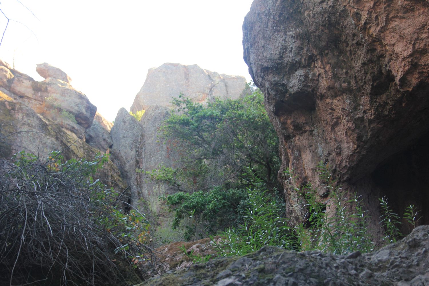 Bear Gulch Cave Trail 